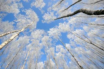 --La-ronde-des-Archanges---hivers La ronde des Archanges - Hiver